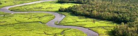 Aerial photo of Maurice River's green salt marsh and blue water in Desea Region of the Trail.